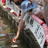 流しびな