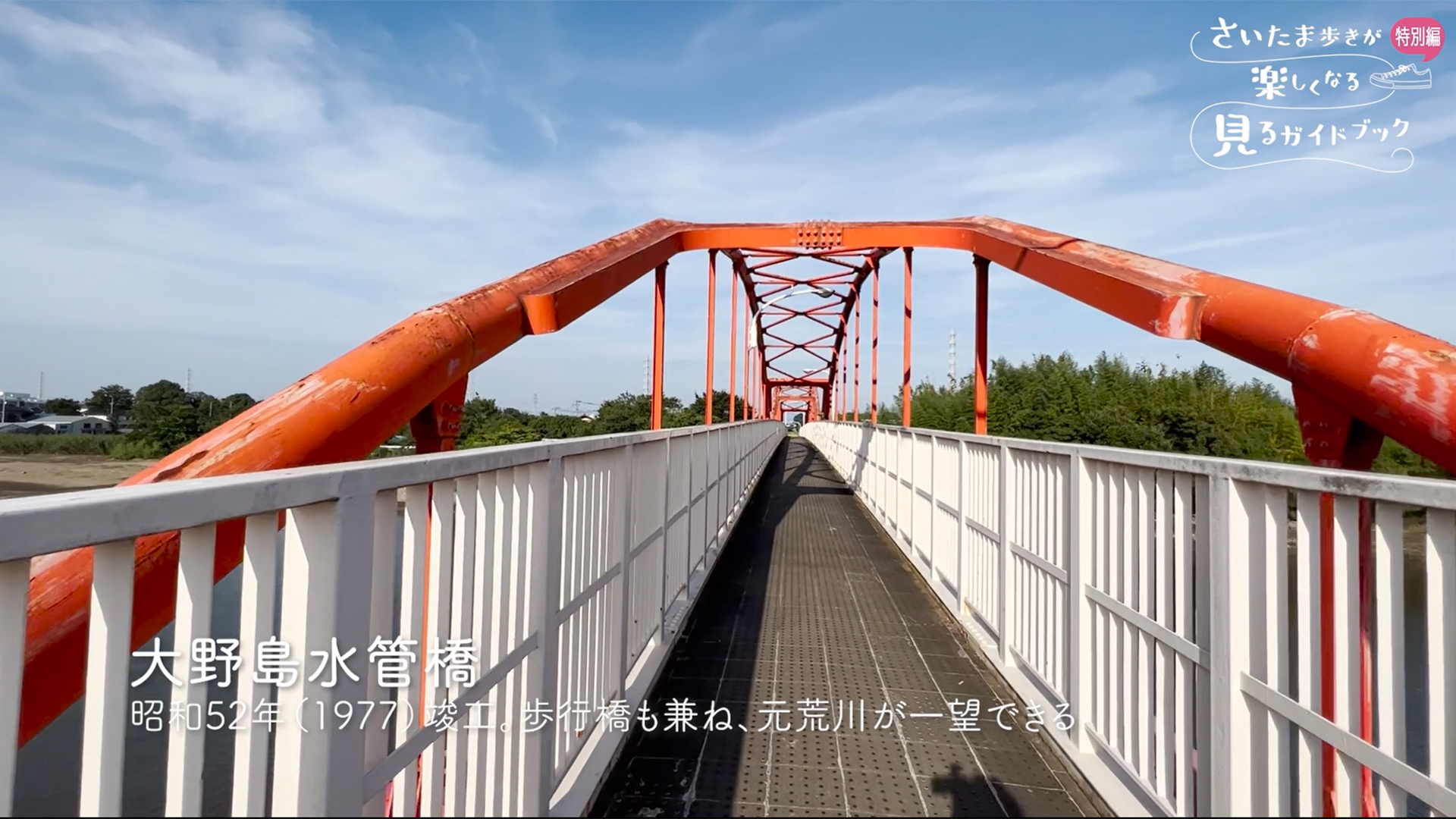 大野島水管橋