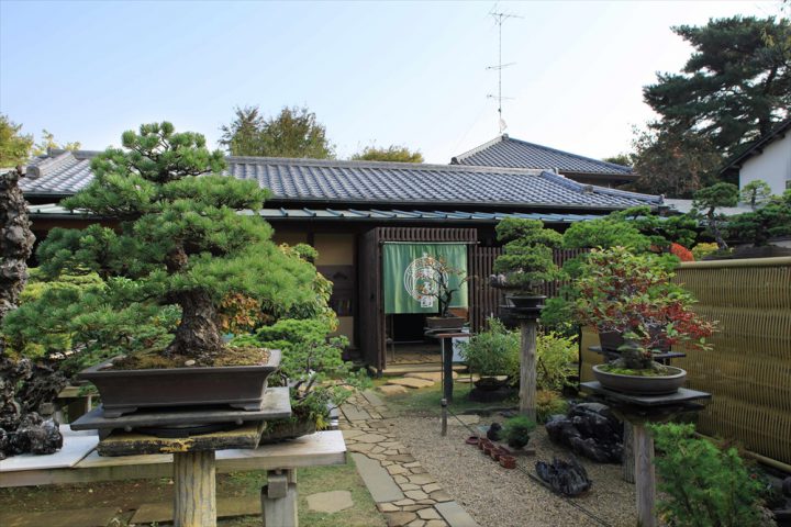 Seiko-en (Omiya Bonsai Village)