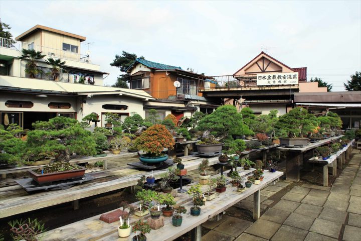 Toju-en (Omiya Bonsai Village)