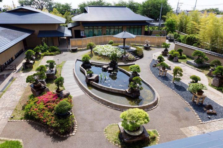 Learn more about the Omiya Bonsai Art Museum!