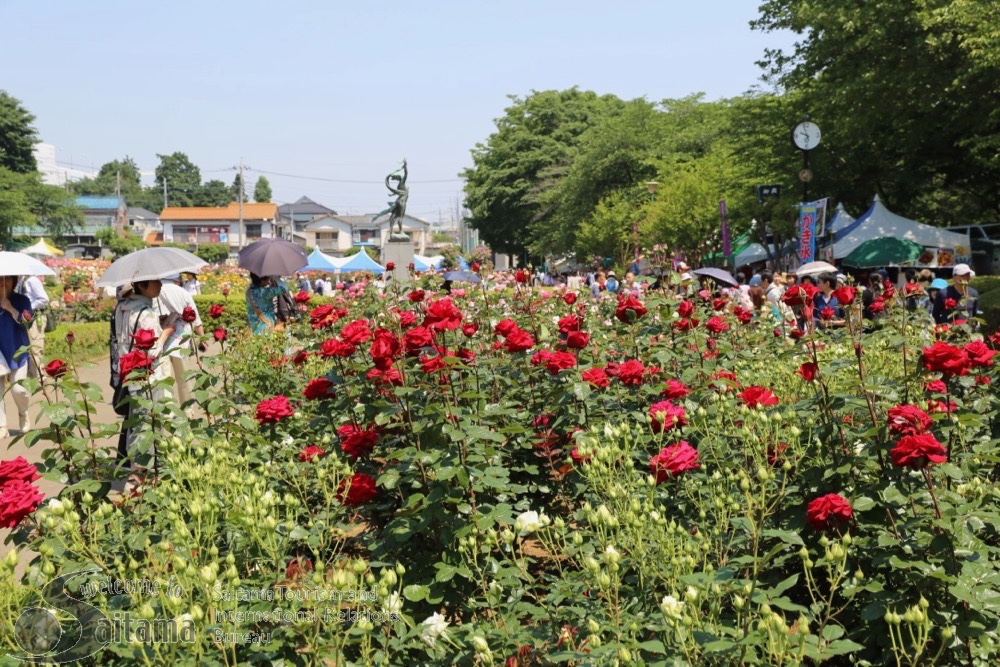 Yono rose festival