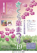 Japanese primrose sakurasou festival