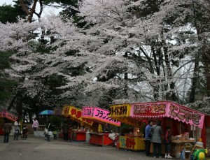 100407_omiyapark_sakura3