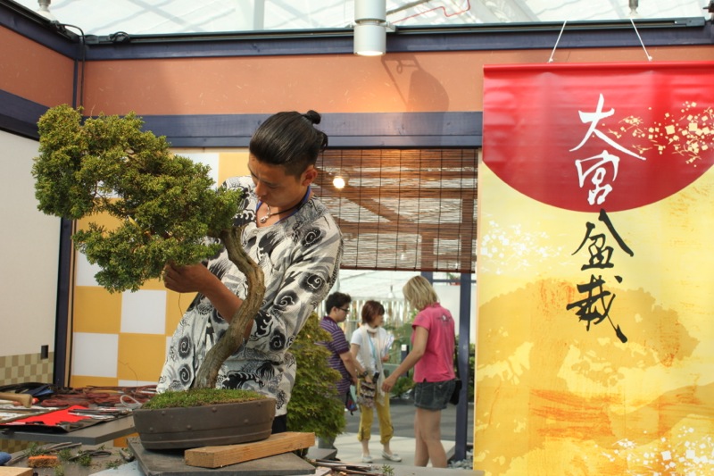 文化庁文化交流使に大宮盆栽村の盆栽師　平尾さんが指名されました！
