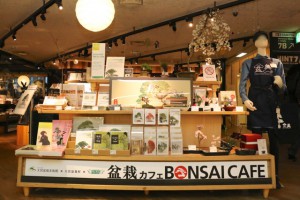 bonsaicafe01