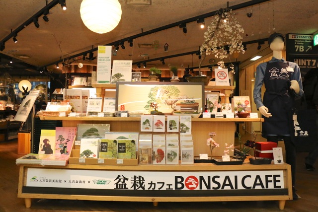 『盆栽カフェin東急ハンズ渋谷店』盆栽に関する様々なイベントが開催されてます！