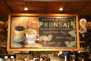 bonsaicafe04