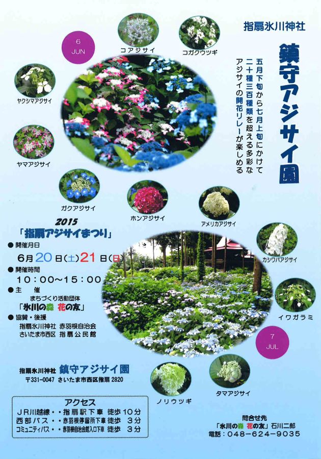 sashiogi-ajisai-2015
