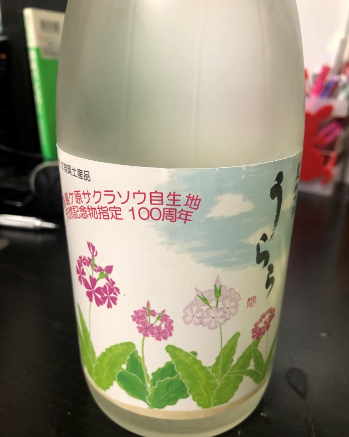 さいたま市の背中(140)『さくら草まつり中止を受けて日本酒を飲む』