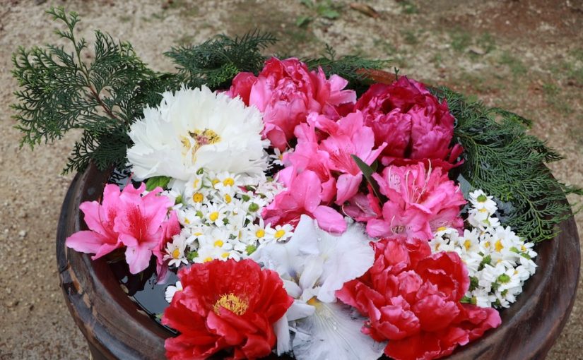 【4/23(日)】「 After bloom festival」が中山神社境内（さいたま市見沼区）で開催されます。